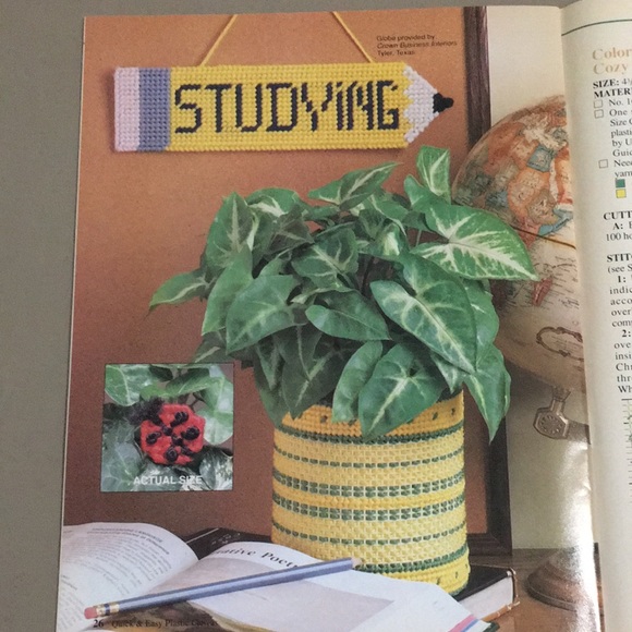 5 Plastic Canvas pattern books - Picture 12 of 12